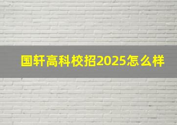 国轩高科校招2025怎么样