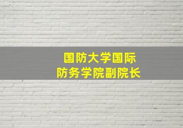 国防大学国际防务学院副院长