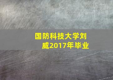 国防科技大学刘威2017年毕业