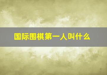 国际围棋第一人叫什么