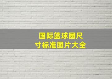 国际篮球圈尺寸标准图片大全