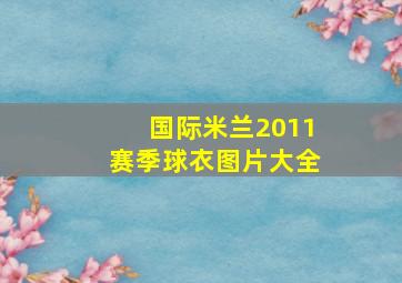 国际米兰2011赛季球衣图片大全