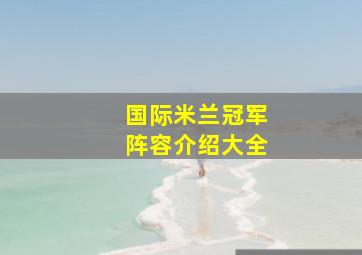 国际米兰冠军阵容介绍大全