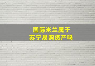 国际米兰属于苏宁易购资产吗