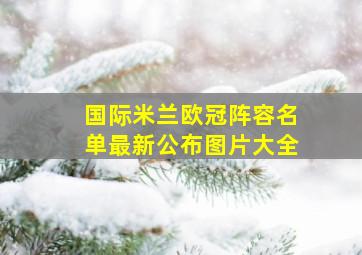 国际米兰欧冠阵容名单最新公布图片大全