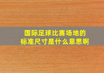 国际足球比赛场地的标准尺寸是什么意思啊