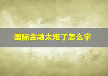 国际金融太难了怎么学