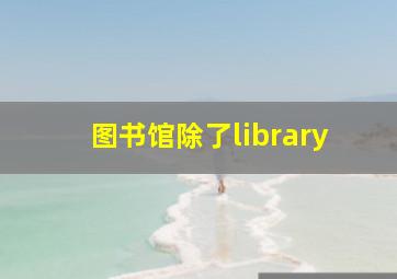 图书馆除了library