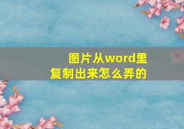 图片从word里复制出来怎么弄的