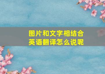 图片和文字相结合英语翻译怎么说呢