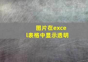 图片在excel表格中显示透明