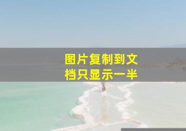 图片复制到文档只显示一半