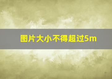 图片大小不得超过5m