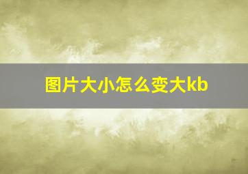 图片大小怎么变大kb