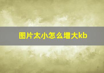 图片太小怎么增大kb