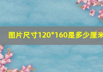 图片尺寸120*160是多少厘米