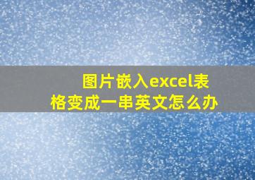 图片嵌入excel表格变成一串英文怎么办