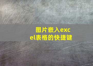 图片嵌入excel表格的快捷键