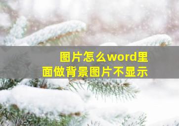 图片怎么word里面做背景图片不显示