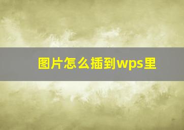 图片怎么插到wps里