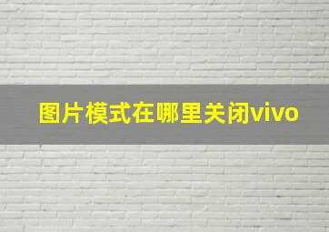 图片模式在哪里关闭vivo