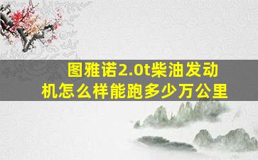 图雅诺2.0t柴油发动机怎么样能跑多少万公里