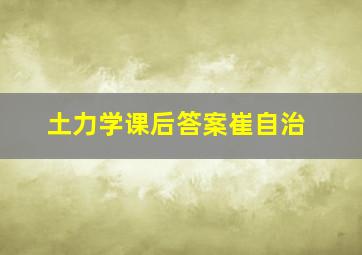 土力学课后答案崔自治