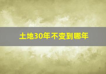 土地30年不变到哪年