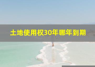 土地使用权30年哪年到期