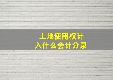 土地使用权计入什么会计分录