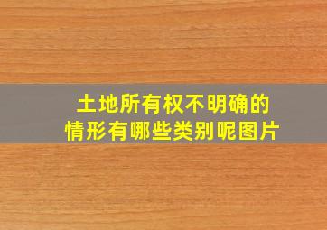 土地所有权不明确的情形有哪些类别呢图片