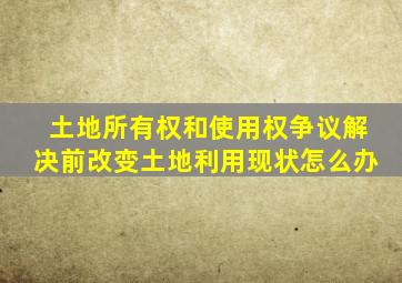 土地所有权和使用权争议解决前改变土地利用现状怎么办