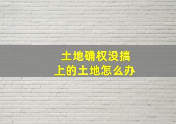 土地确权没搞上的土地怎么办