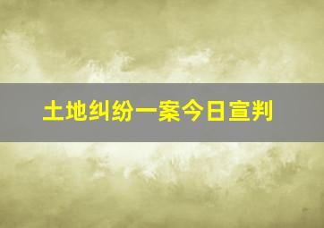 土地纠纷一案今日宣判