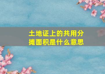 土地证上的共用分摊面积是什么意思