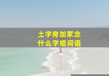 土字旁加冢念什么字组词语