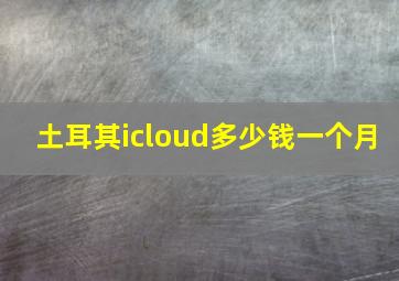 土耳其icloud多少钱一个月