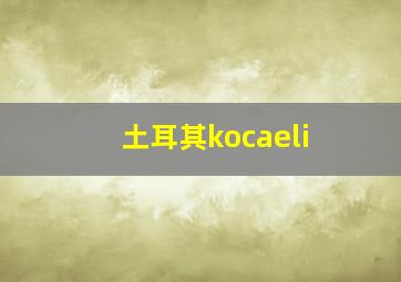 土耳其kocaeli