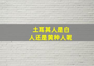 土耳其人是白人还是黄种人呢