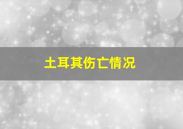 土耳其伤亡情况