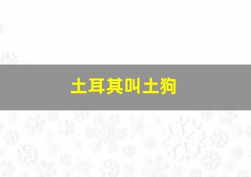 土耳其叫土狗