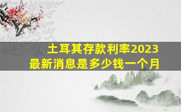 土耳其存款利率2023最新消息是多少钱一个月