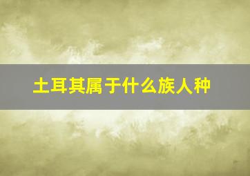 土耳其属于什么族人种