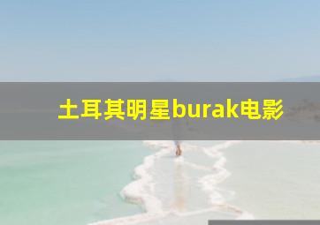 土耳其明星burak电影