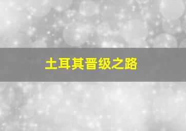 土耳其晋级之路