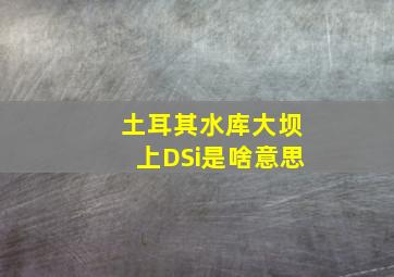 土耳其水库大坝上DSi是啥意思