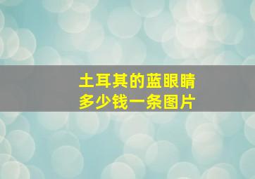 土耳其的蓝眼睛多少钱一条图片