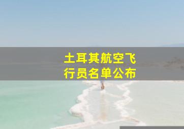 土耳其航空飞行员名单公布