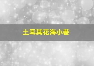 土耳其花海小巷