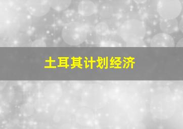 土耳其计划经济